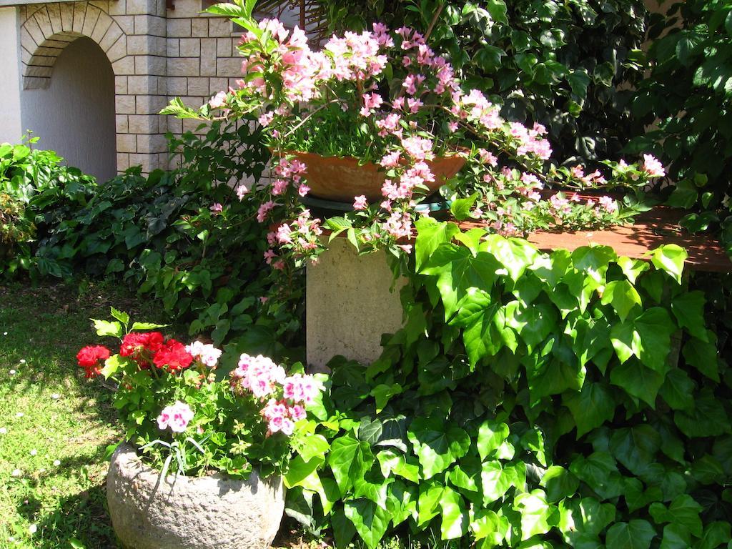 Caterina Guest house